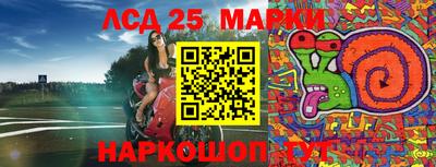 индика Лесосибирск