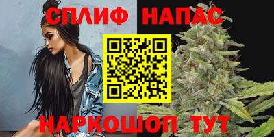мдпв Ливны