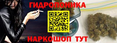 индика Лесосибирск