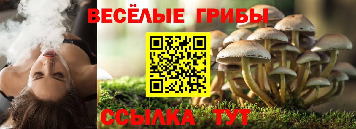 Златоуст  продажа наркотиков  Вход с VPN  Галлюциногенные грибы Psilocybe  Галлюциногенные грибы ЛСД 